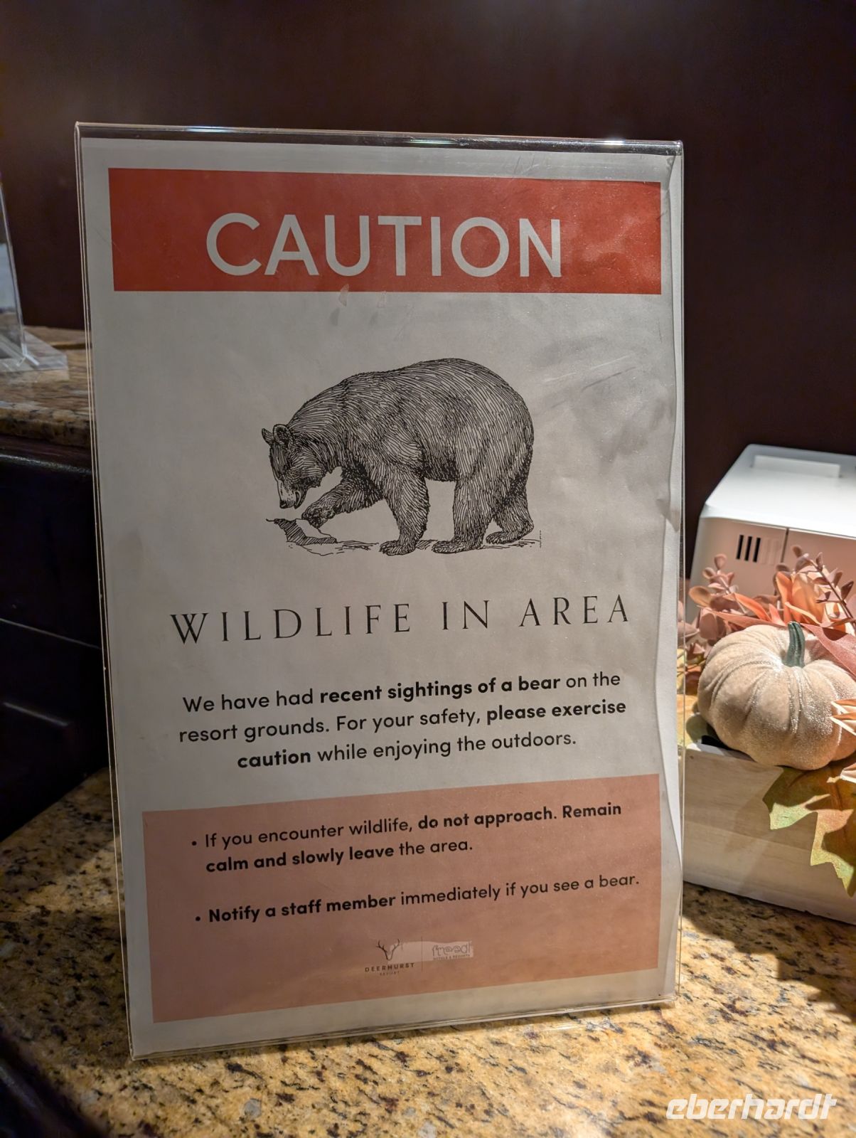 Bären-Warnung Deerhurst Resort