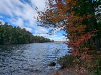 Spaziergang am Hardy Lake