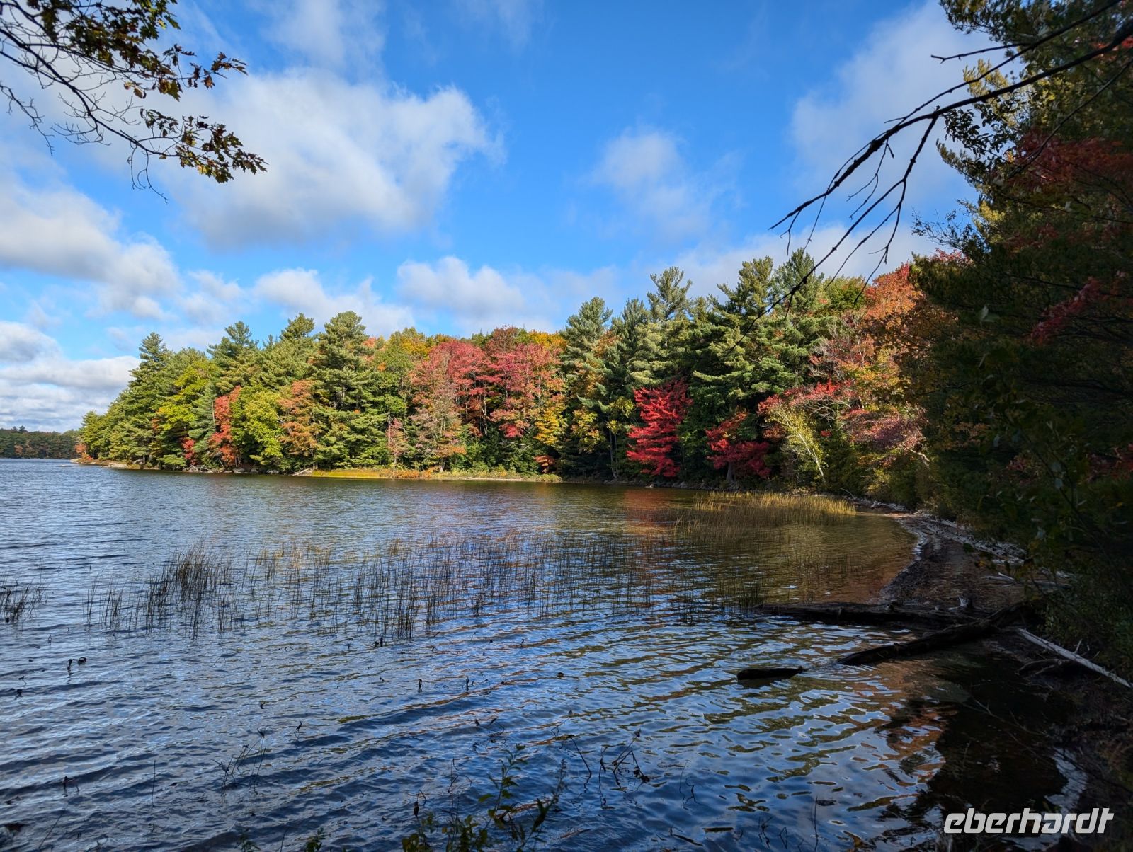 Spaziergang am Hardy Lake