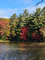 Spaziergang am Hardy Lake