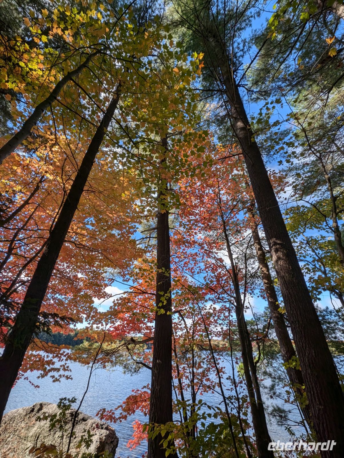 Indian Summer am Hardy Lake