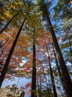 Indian Summer am Hardy Lake