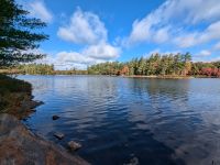 Spaziergang am Hardy Lake