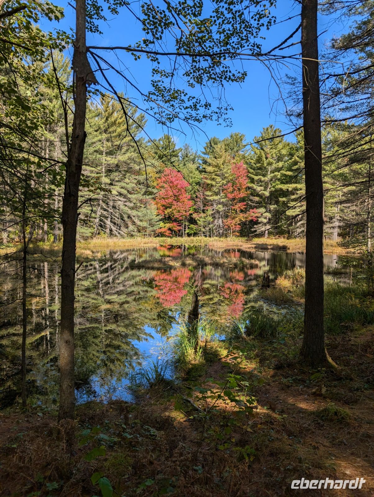 Eindrücke Hardy Lake