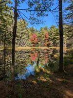 Eindrücke Hardy Lake