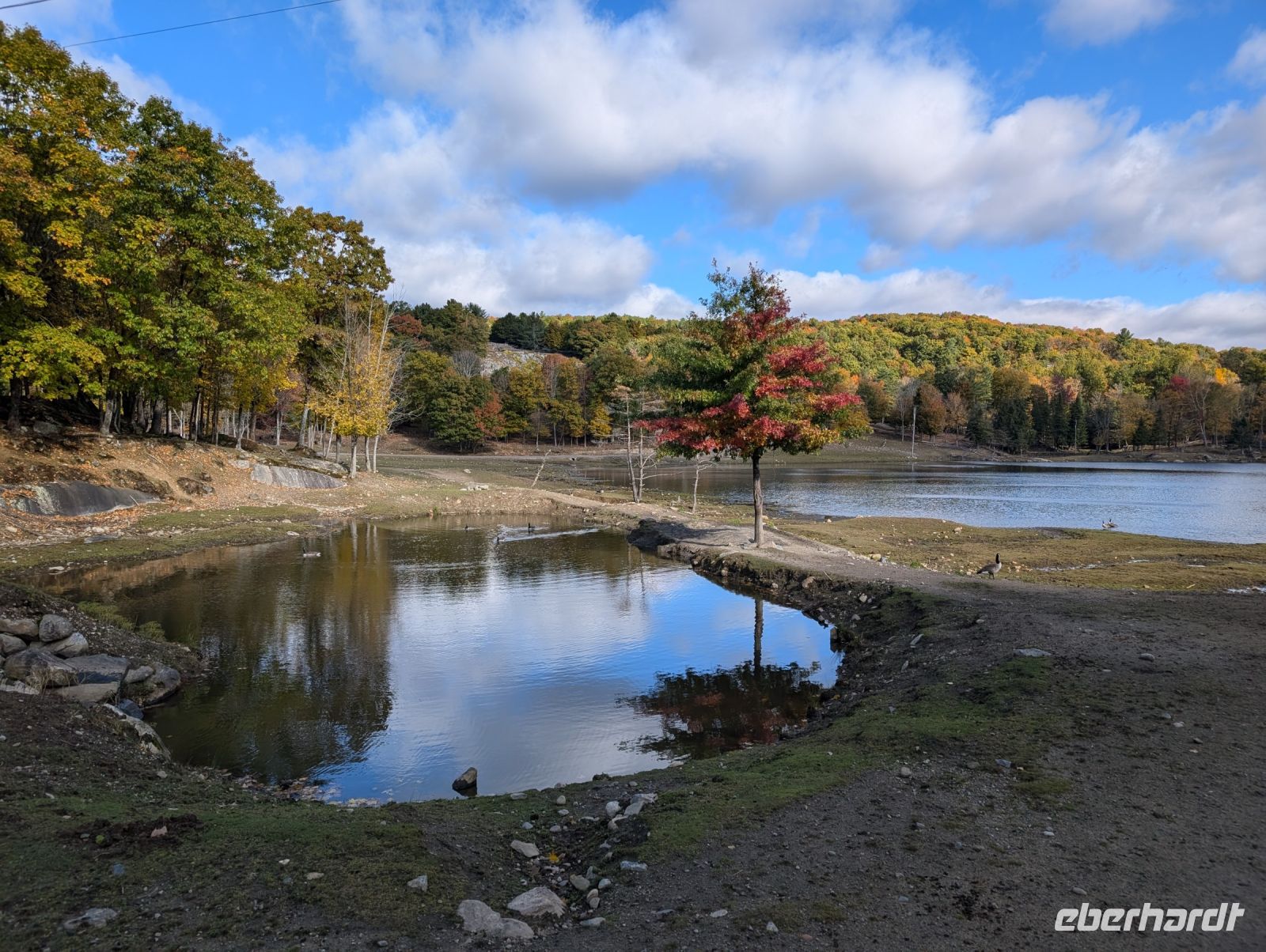 Eindrücke Omega Wildpark