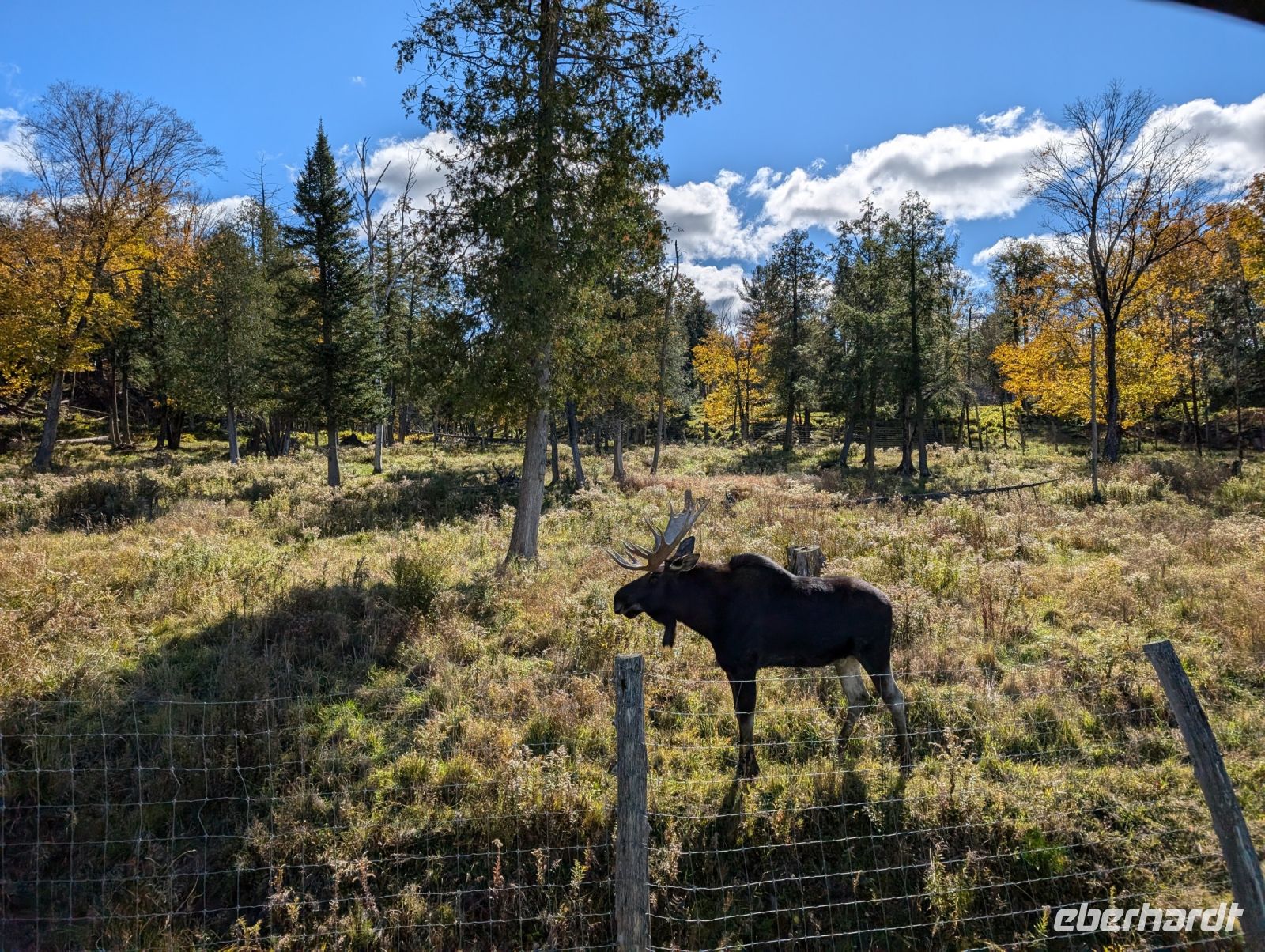Eindrücke Omega Wildpark