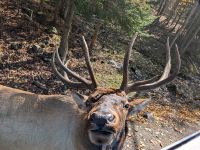 Eindrücke Omega Wildpark