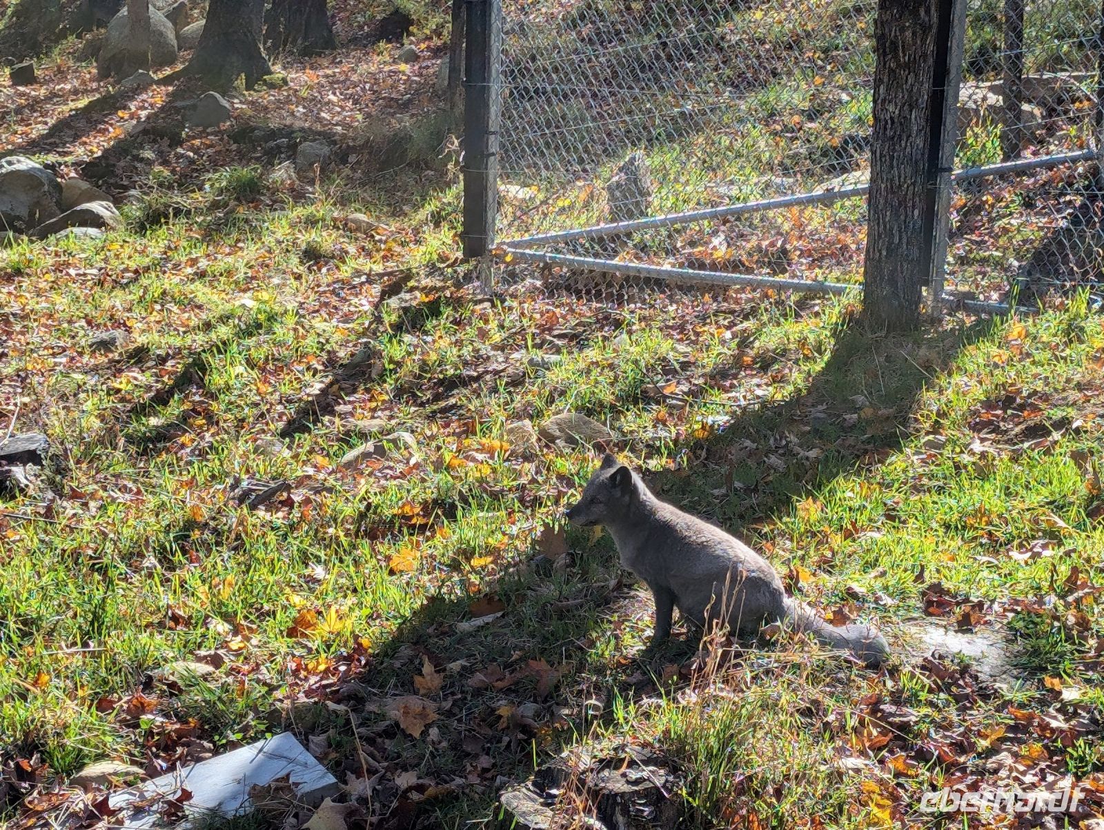Eindrücke Omega Wildpark