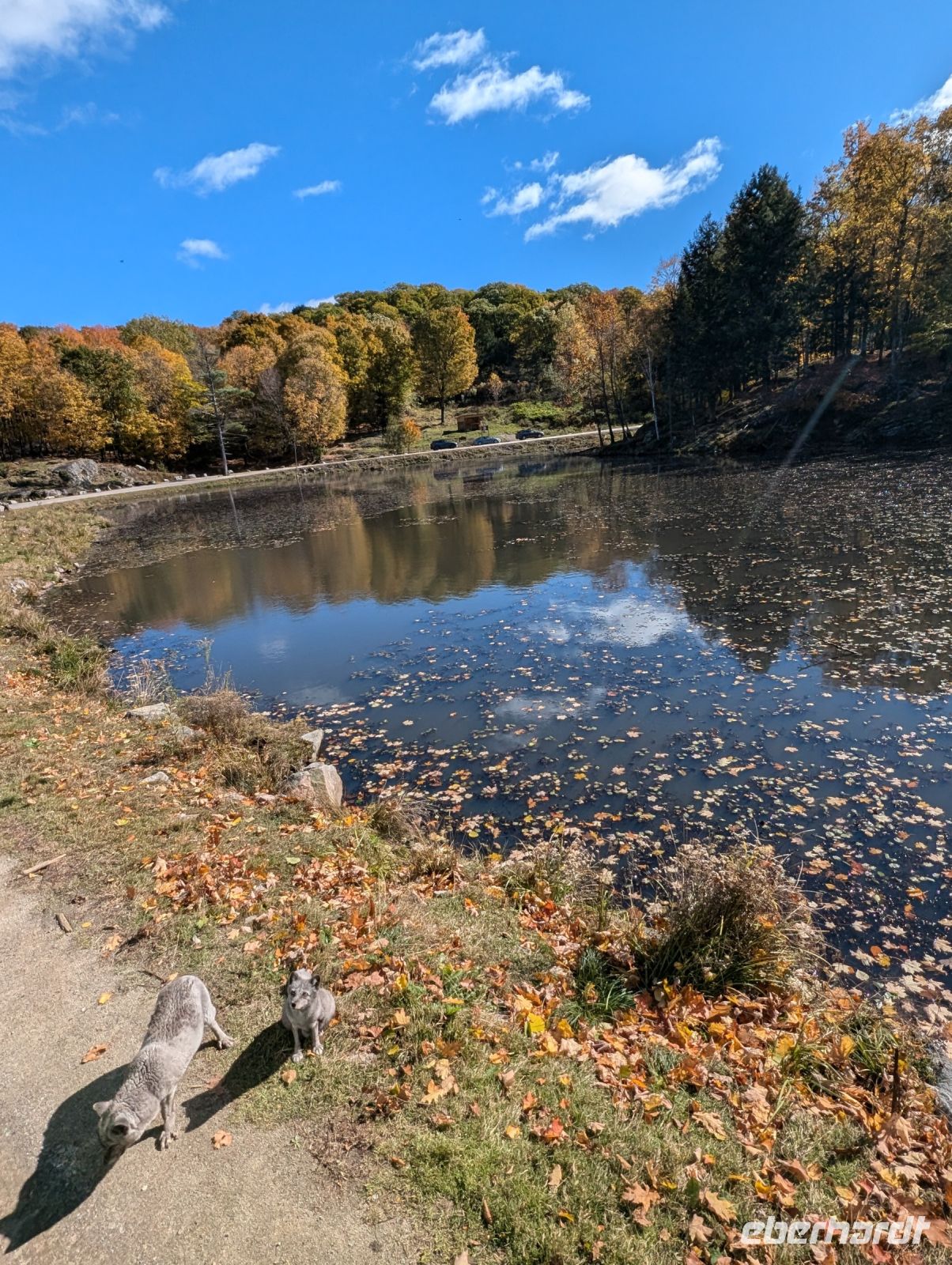 Eindrücke Omega Wildpark