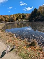 Eindrücke Omega Wildpark