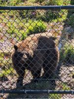 Eindrücke Omega Wildpark