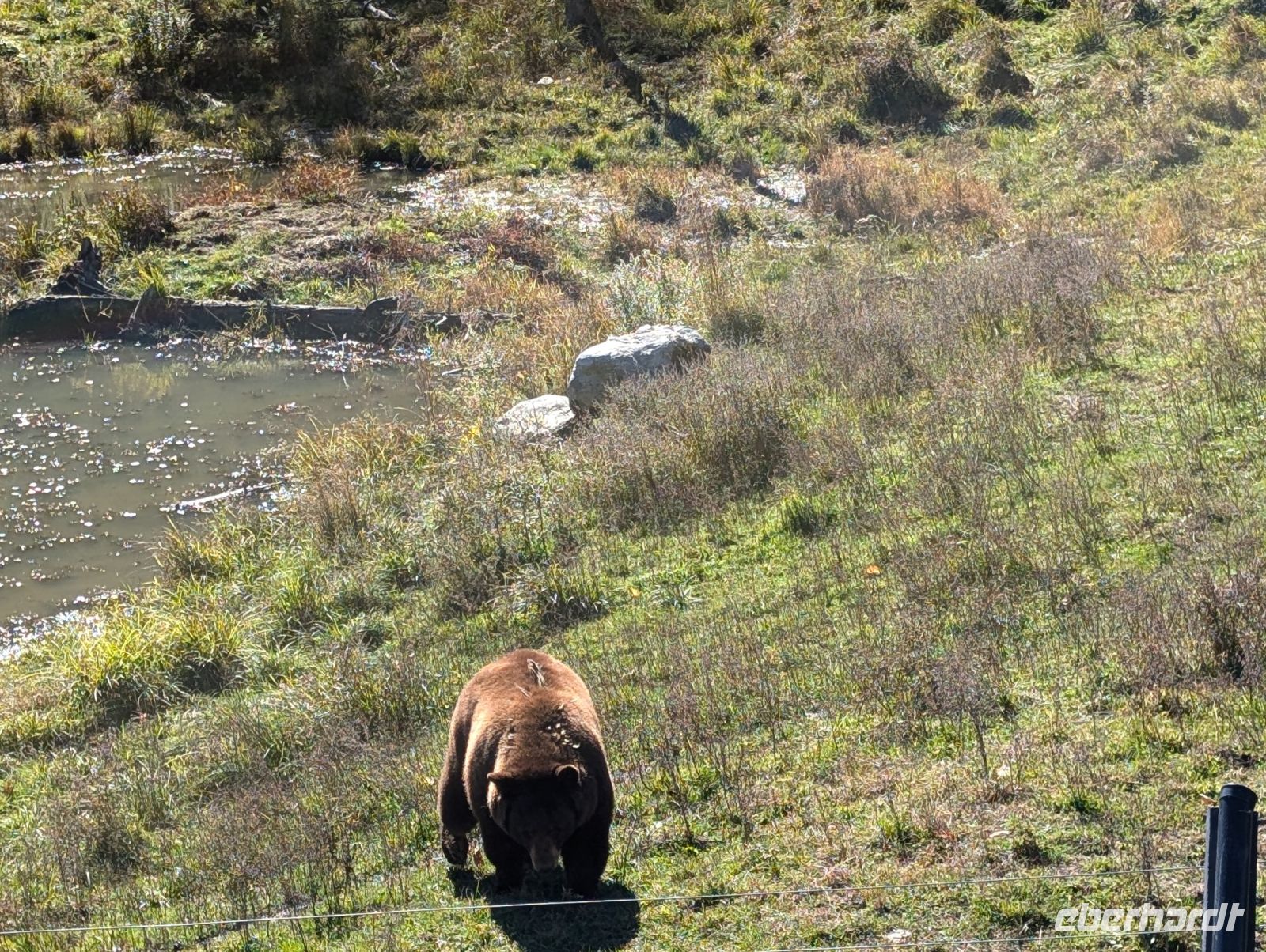 Eindrücke Omega Wildpark
