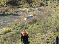 Eindrücke Omega Wildpark