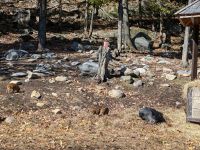 Eindrücke Omega Wildpark