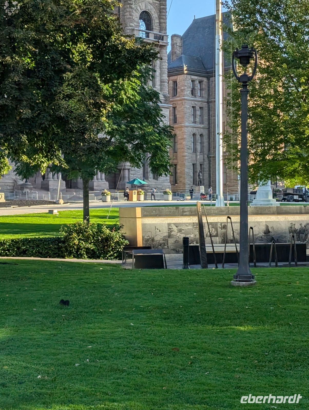 Eichhörnchen in Toronto