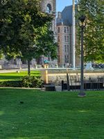 Eichhörnchen in Toronto