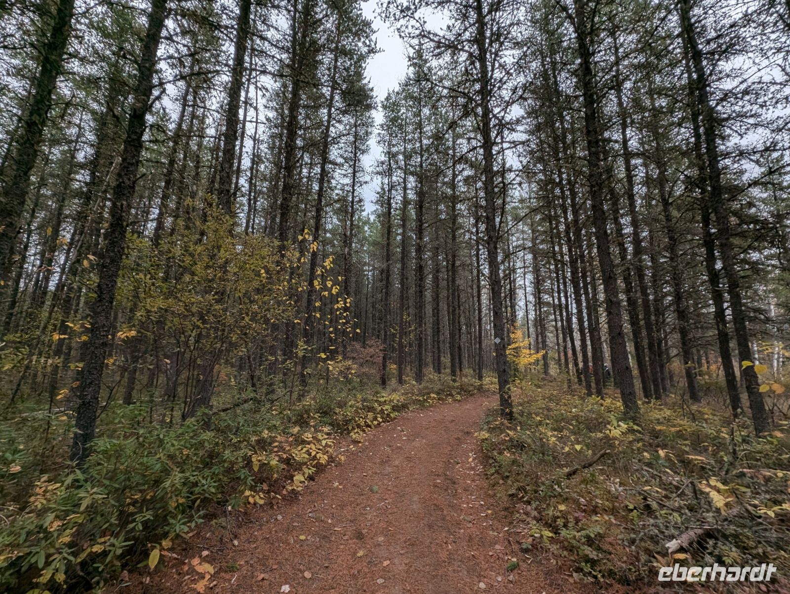 Spaziergang am Lac Taureau