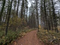 Spaziergang am Lac Taureau