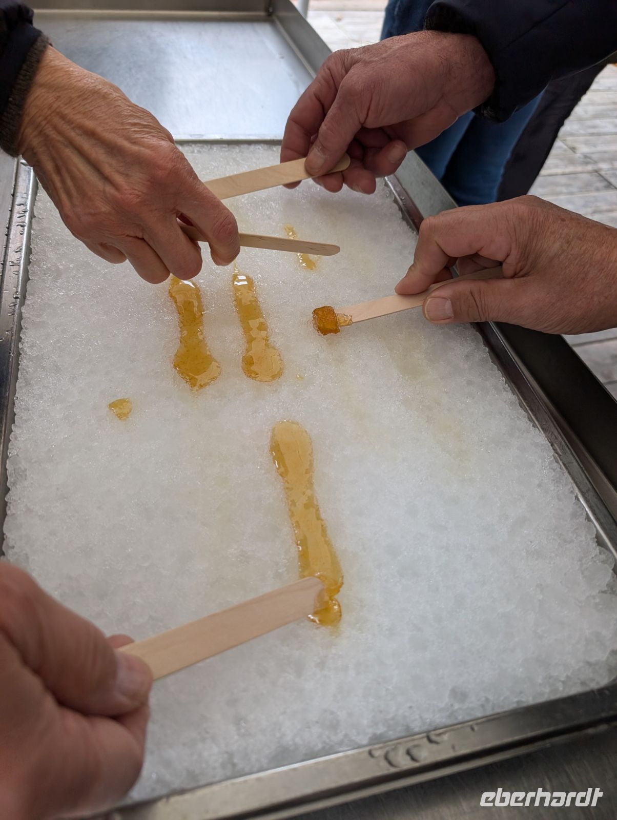 Ahornsiup-Verkostung