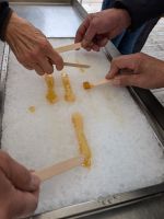 Ahornsiup-Verkostung