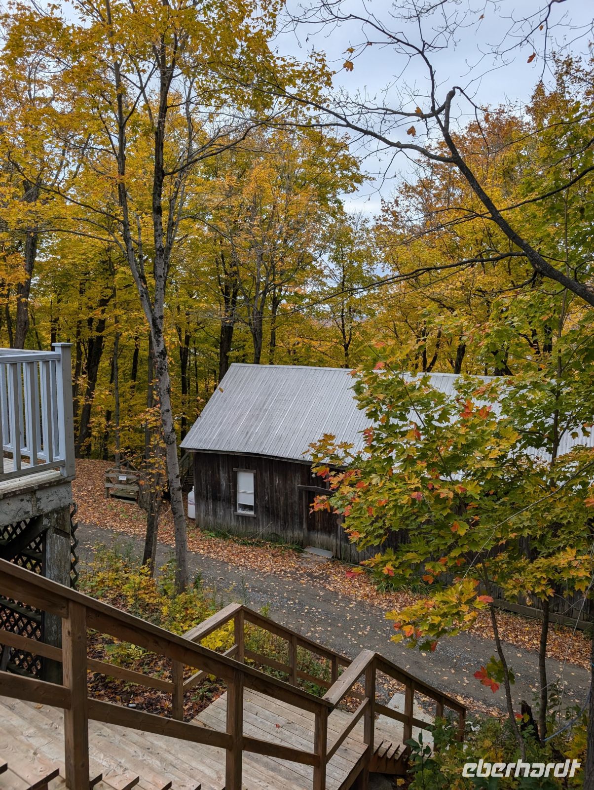 Ahornsiup-Produktion