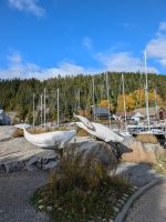 Eindrücke Tadoussac