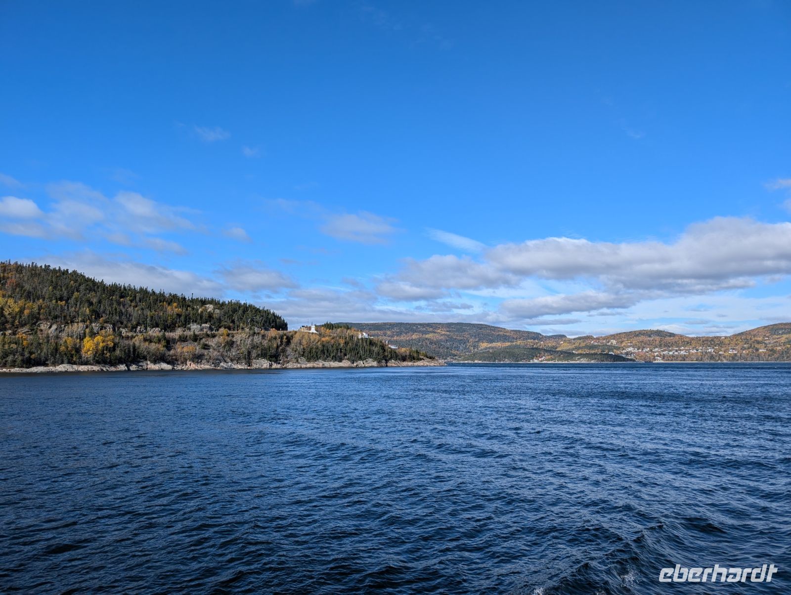 Eindrücke Walbeobachtungs-Schifffahrt