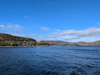 Eindrücke Walbeobachtungs-Schifffahrt
