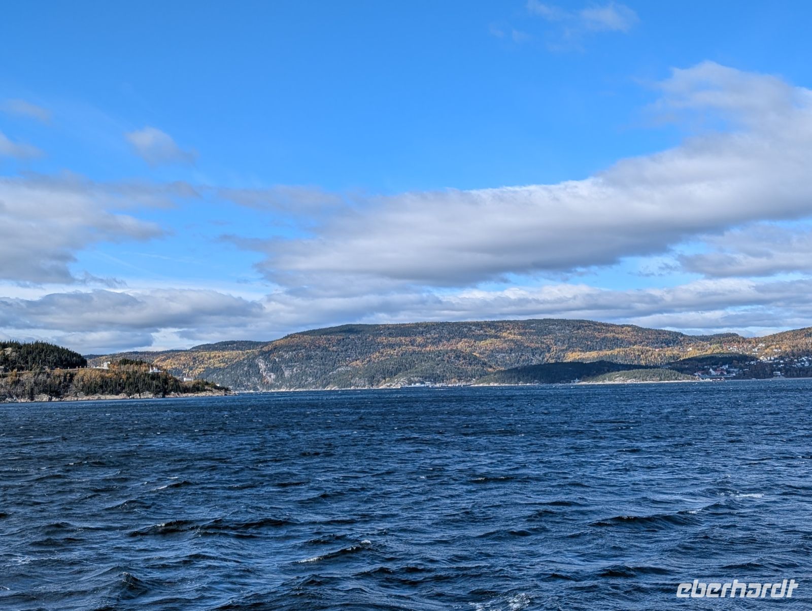 Eindrücke Walbeobachtungs-Schifffahrt