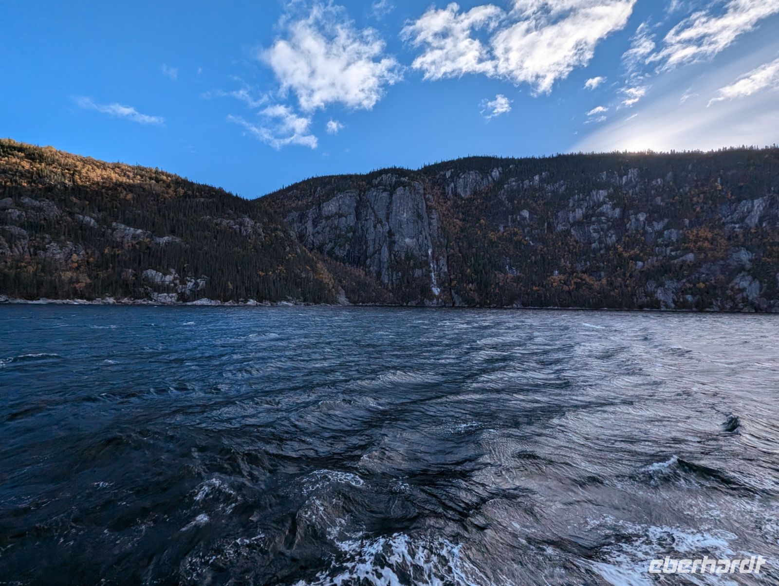 Eindrücke Walbeobachtungs-Schifffahrt
