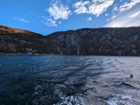 Eindrücke Walbeobachtungs-Schifffahrt