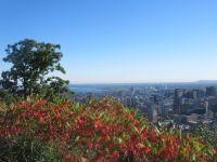 Aussicht auf Montreal von Mont Royal - Montreal, Kanada