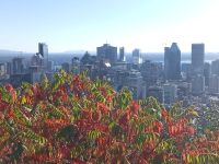 Aussicht auf Montreal von Kondiaronk Belvedere - Montreal, Kanada