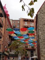 Umbrella Alley - Quebec, Kanada