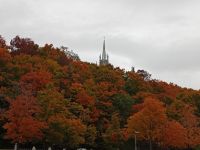 Indian Summer Wald - Provinz Quebec, Kanada