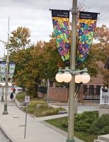 Flaggen der Regionen  - Ottawa, Kanada