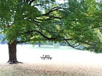 Canadian Heritage Garden - Ottawa, Kanada