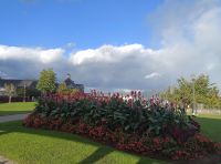 Niagara Falls, Kanada