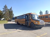 Schulbusse - Calgary, Kanada
