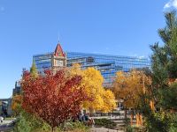 Das Rathaus von Calgary in der Herbstfarben, Kanada