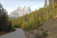 On the Route - in den Rocky Mountains - Kanada