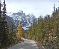 Auffahrt zu Moraine Lake - Rocky Mountains Kanada
