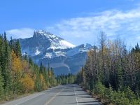 Auf der Rückfahrt - Blick auf Mount Saskatchewan - Kanada
