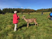 229 Omega Wildpark