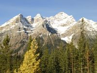 Rocky Mountains am Icefields Parkway - Panoramastraße -Kanada