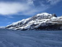 Am Athabasca Gletscher - in Jasper Nationalpark, Kanada