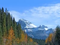 Auf der Rückfahrt - Blick auf Mount Saskatchewan - Kanada