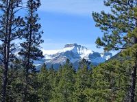 Auf der Rückfahrt - Bergkulisse der Rocky Montains - Kanada