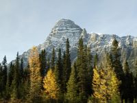 Immer wieder andere Perspektiven auf die Rockies - Yoho Nationalpark, Kanada